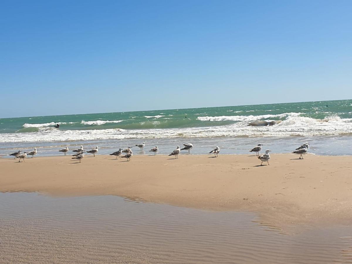 Apartamento Vista Azul Costa Ballena Eksteriør billede