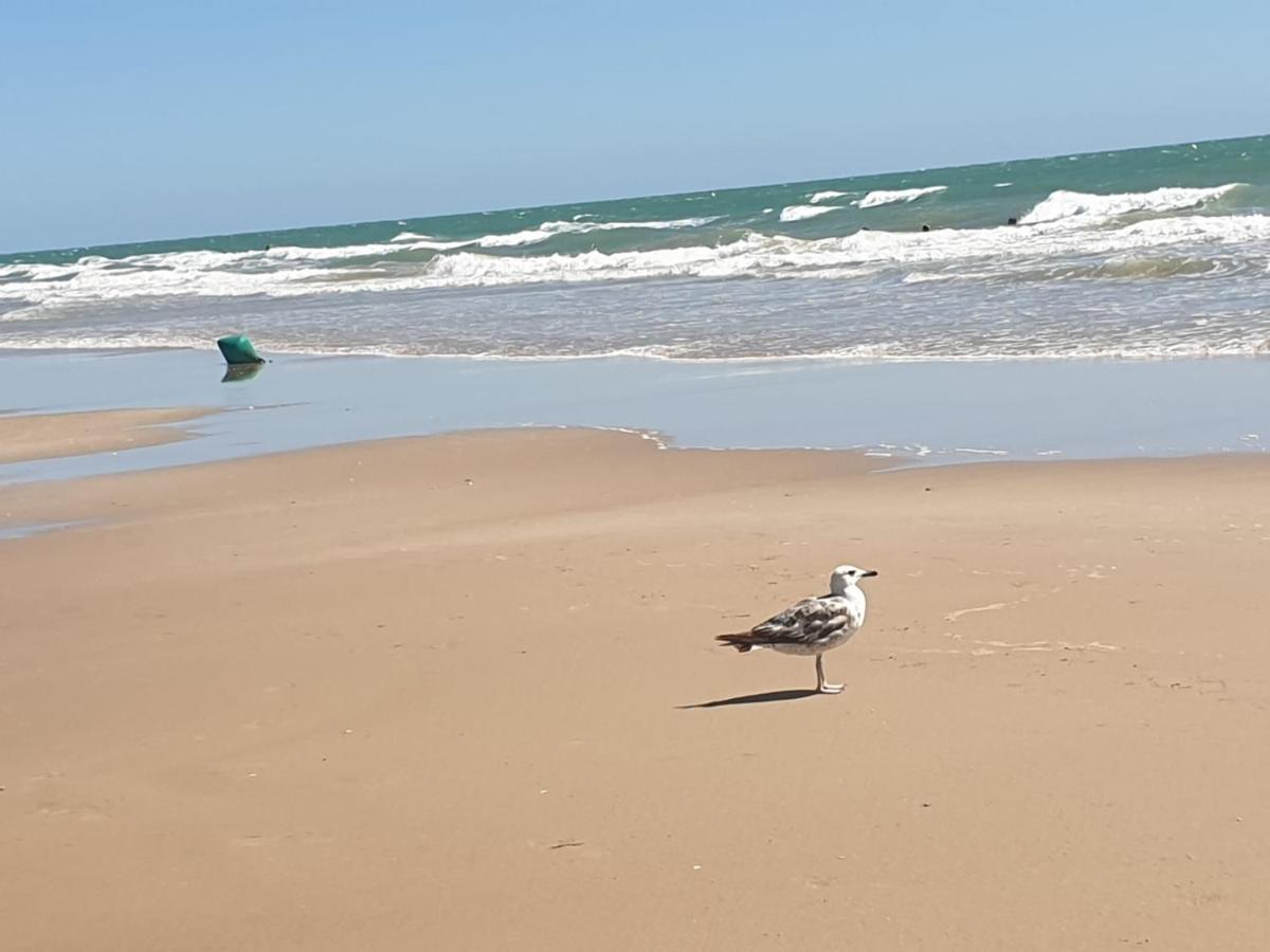 Apartamento Vista Azul Costa Ballena Eksteriør billede